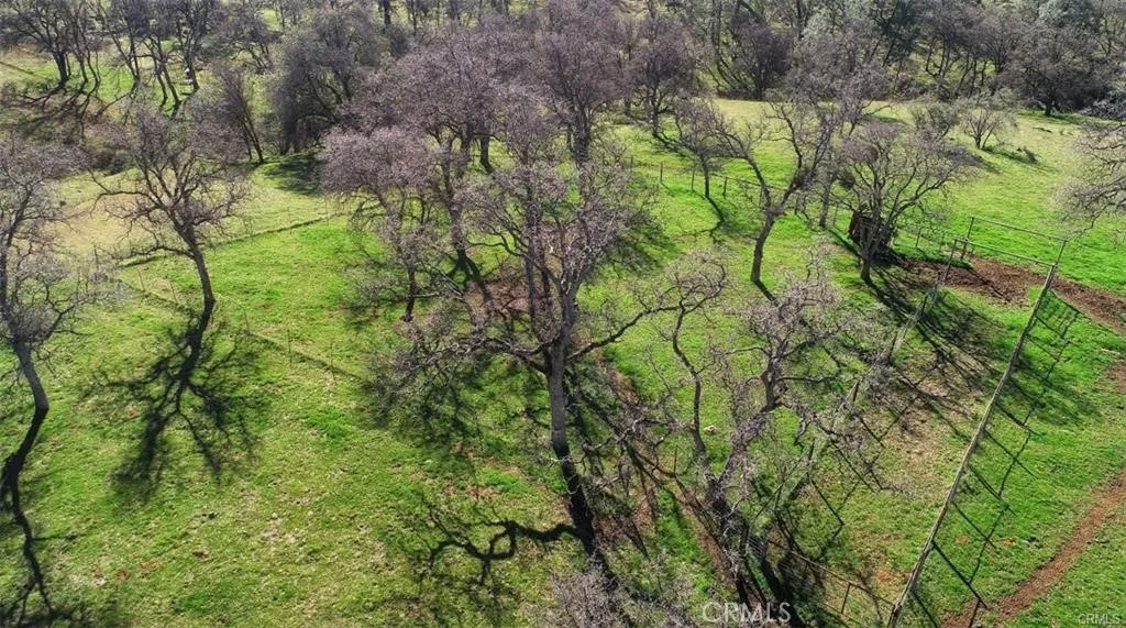 Additional image 38 of 160 AC Cotton Creek Rd, Mariposa, CA 95338
