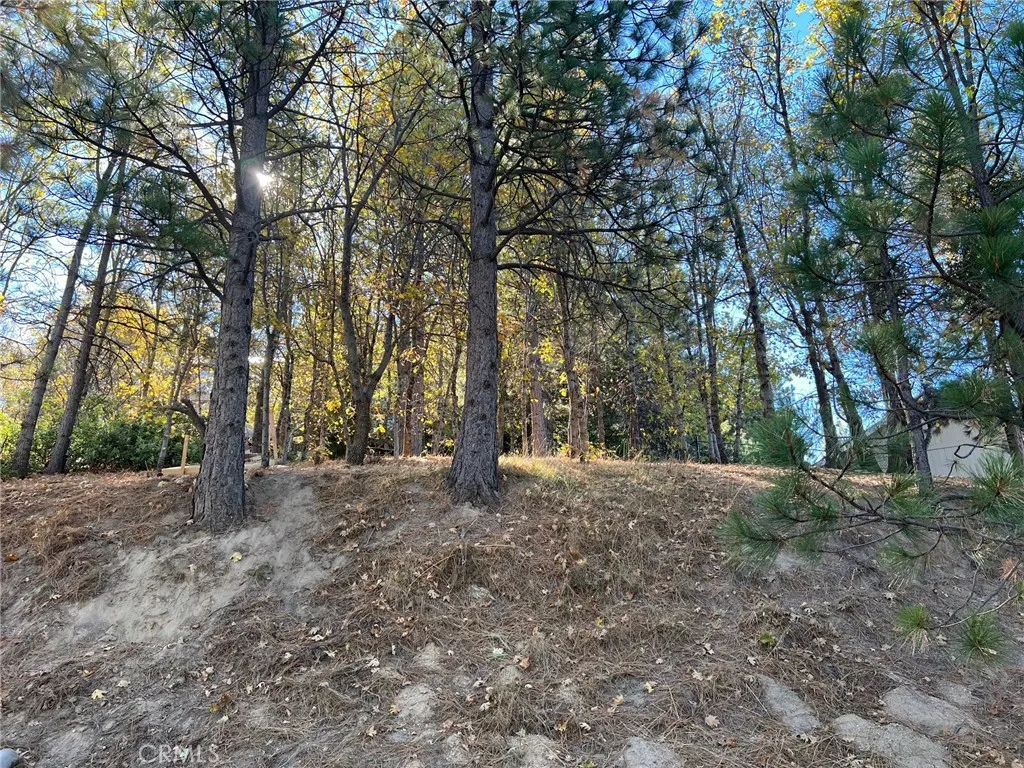 Additional image 3 of 82 Pixie, Running Springs, CA 92382