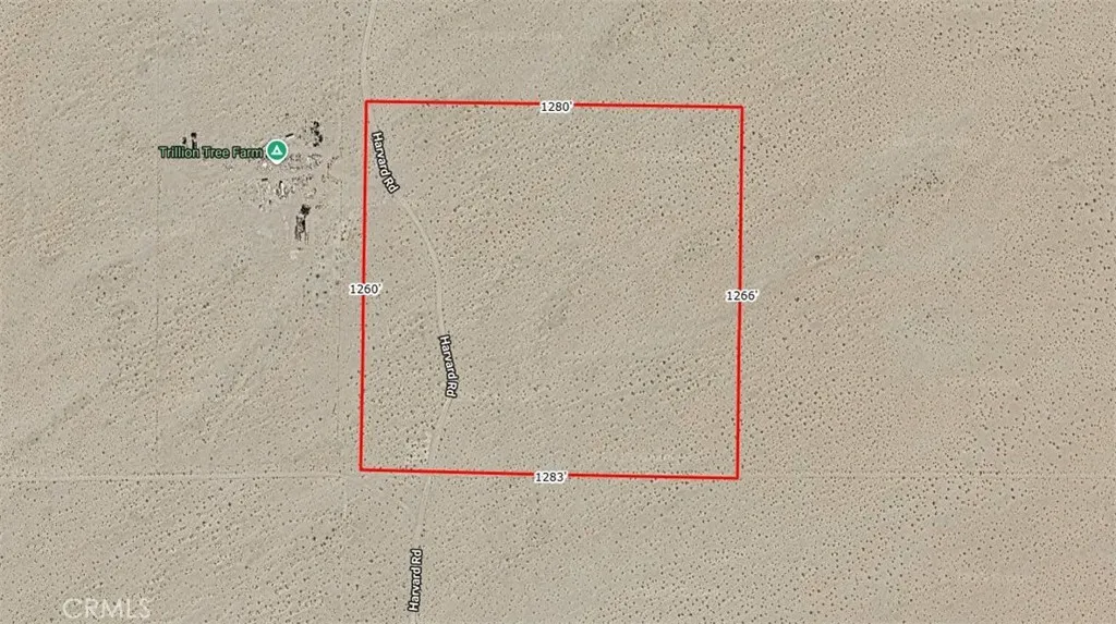 Additional image 2 of Harvard, Yermo, CA 92365