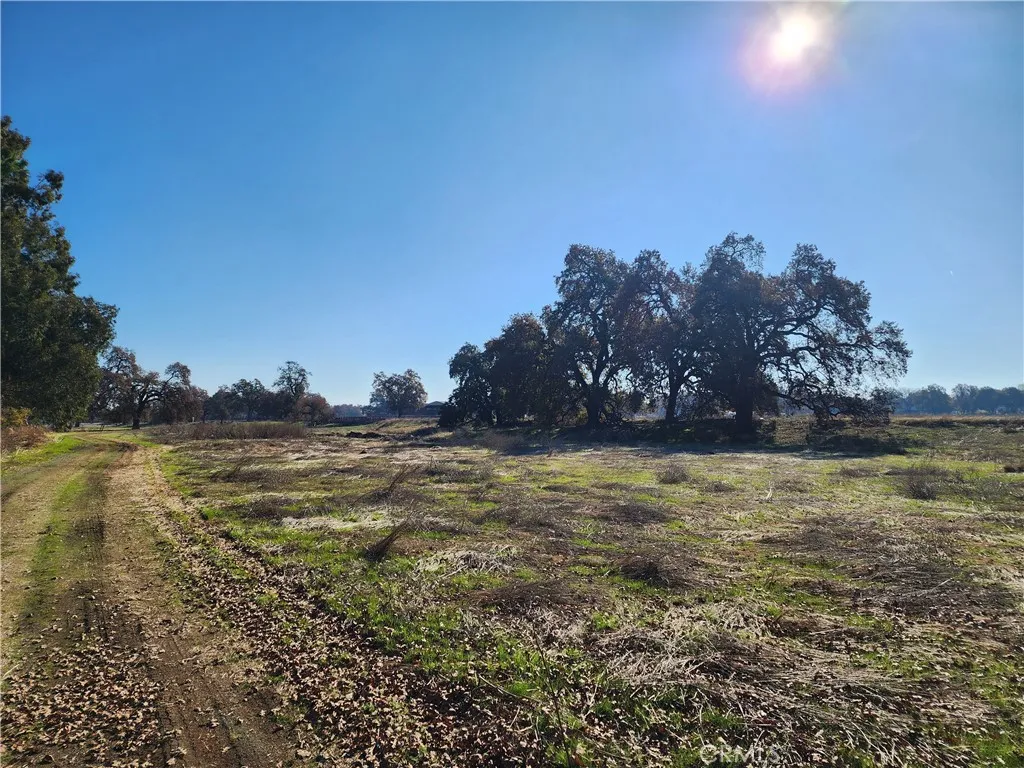 Additional image 15 of Capay Road, Corning, CA 96021