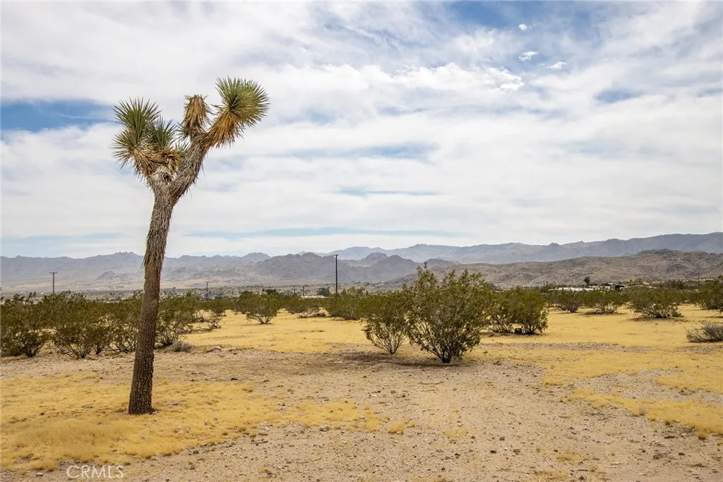 Additional image 25 of 4225 Benji Ave, Joshua Tree, CA 92252