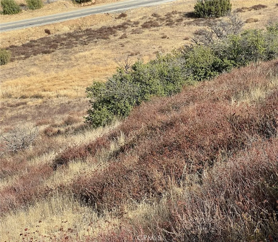 Additional image 18 of Sierra, Acton, CA 93510