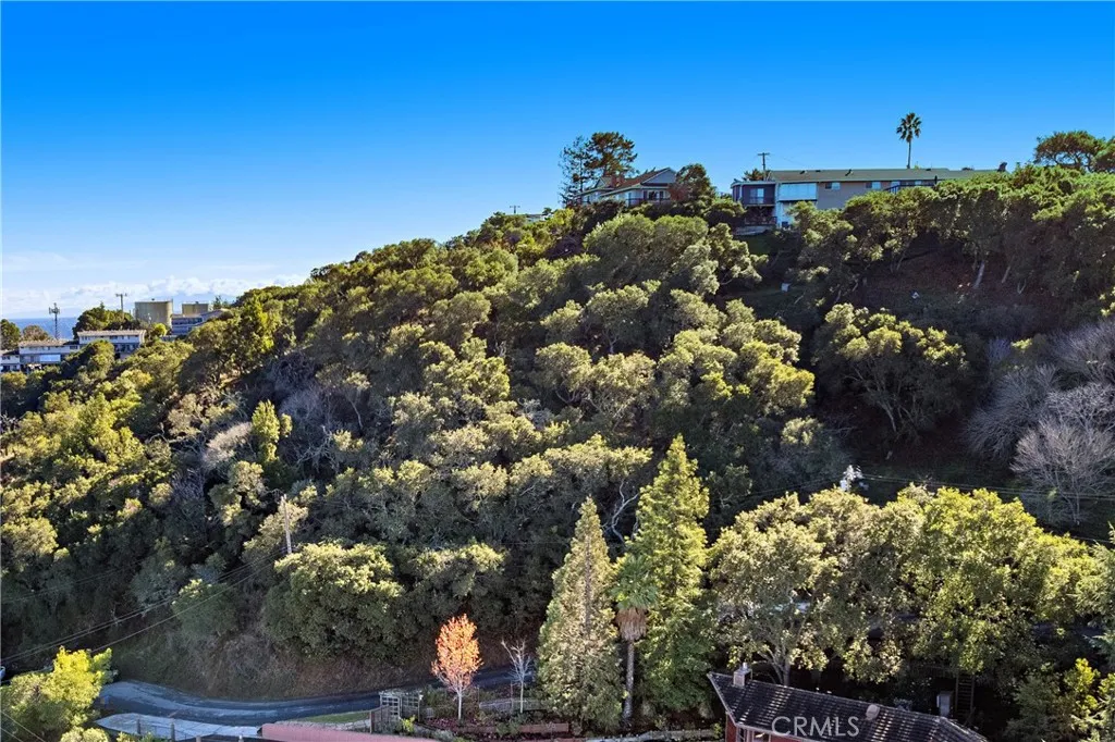 Additional image 22 of 401 Winding Way, San Carlos, CA 94070