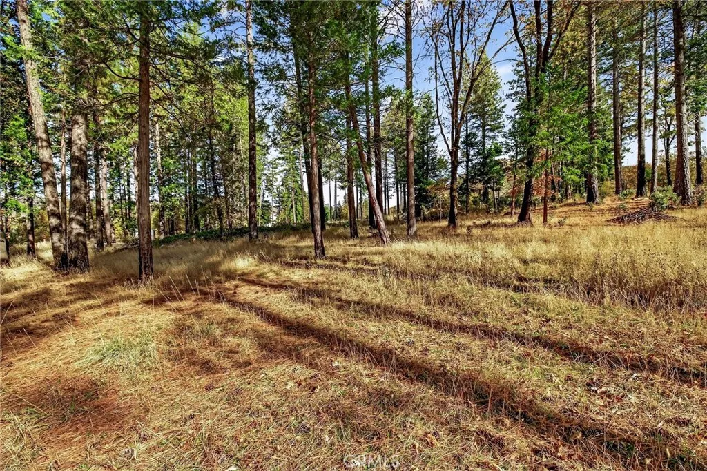 Additional image 28 of 4120 Jack Dale Way, Oroville, CA 95965