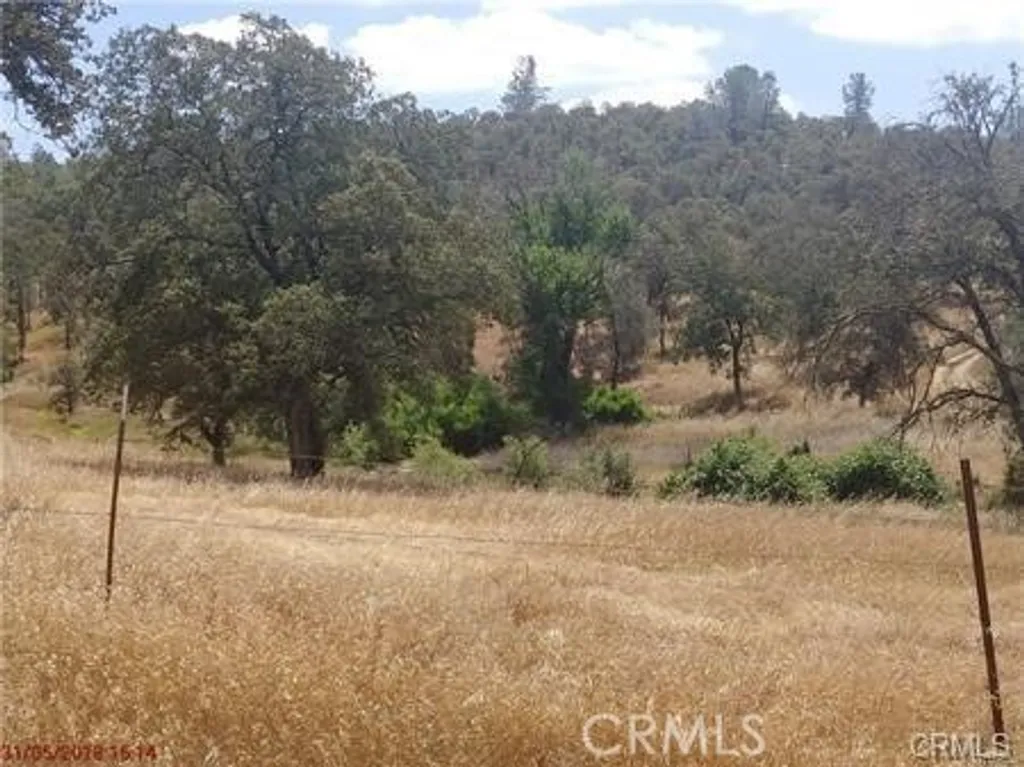 Additional image 5 of Avacado, Bangor, CA 95914