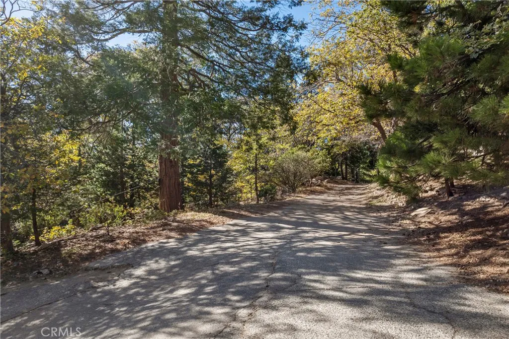 Additional image 21 of Pioneer Road, Lake Arrowhead, CA 92352