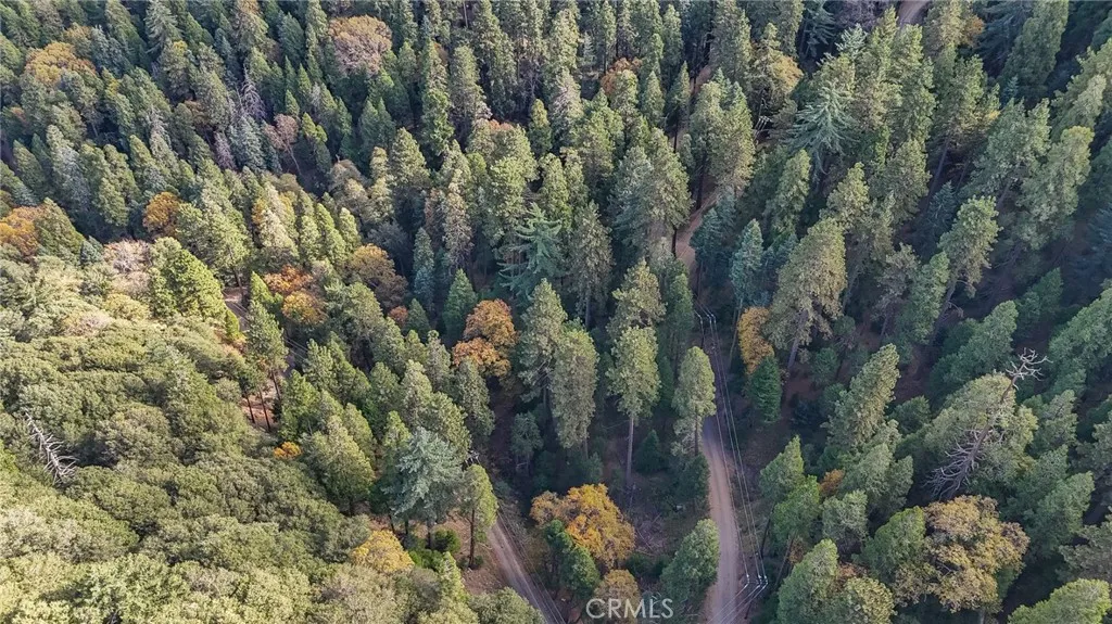 Additional image 10 of Deer Run Road, Cedarpines Park, CA 92322