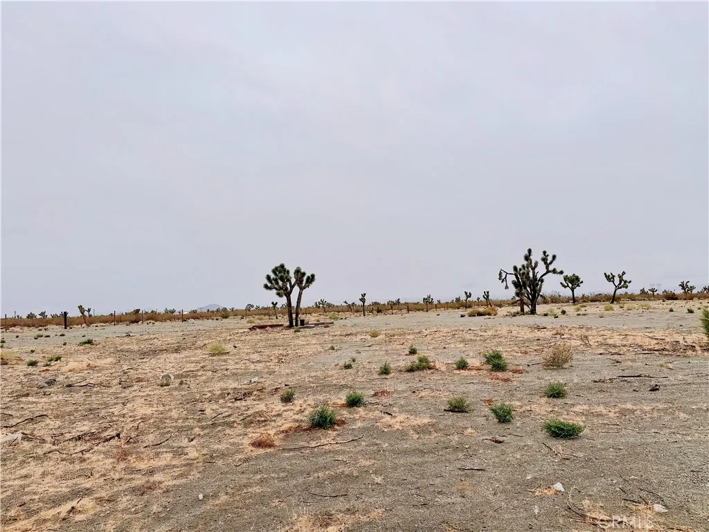 Additional image 25 of 12452 Golden View Rd, Pinon Hills, CA 92372