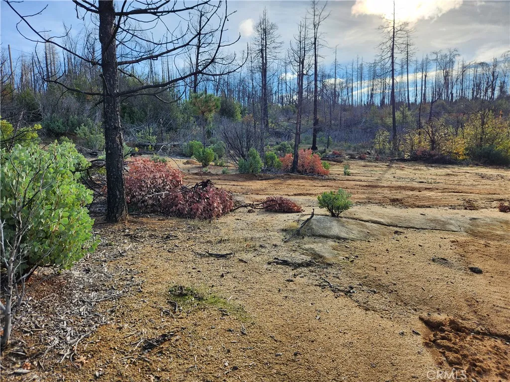 Additional image 11 of 120 Woodsmoke Way, Berry Creek, CA 95916