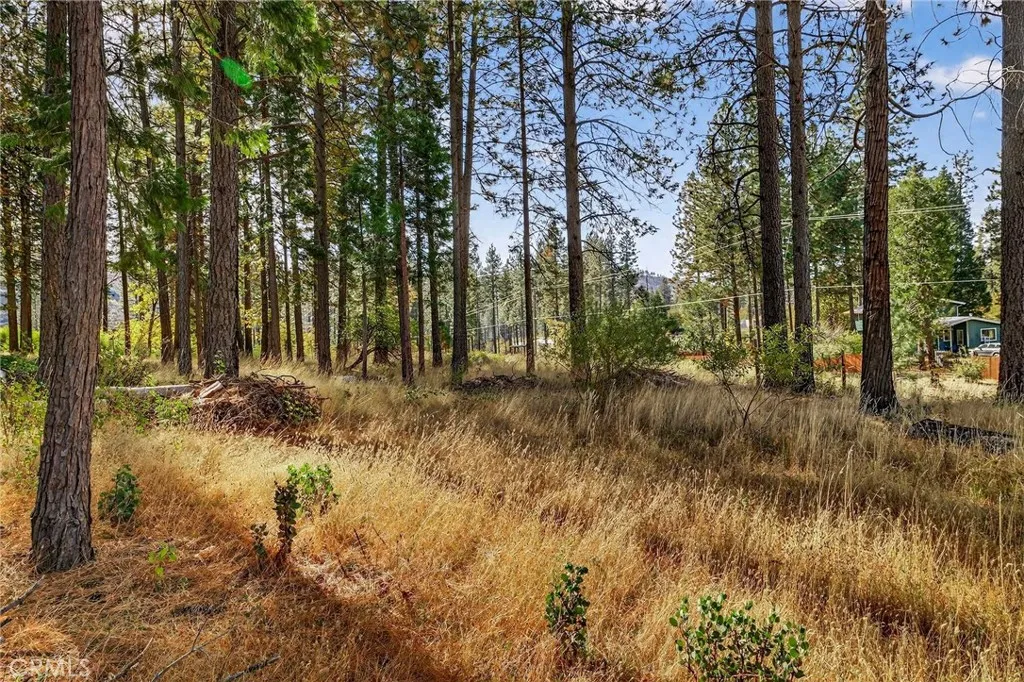 Additional image 23 of 4120 Jack Dale Way, Oroville, CA 95965