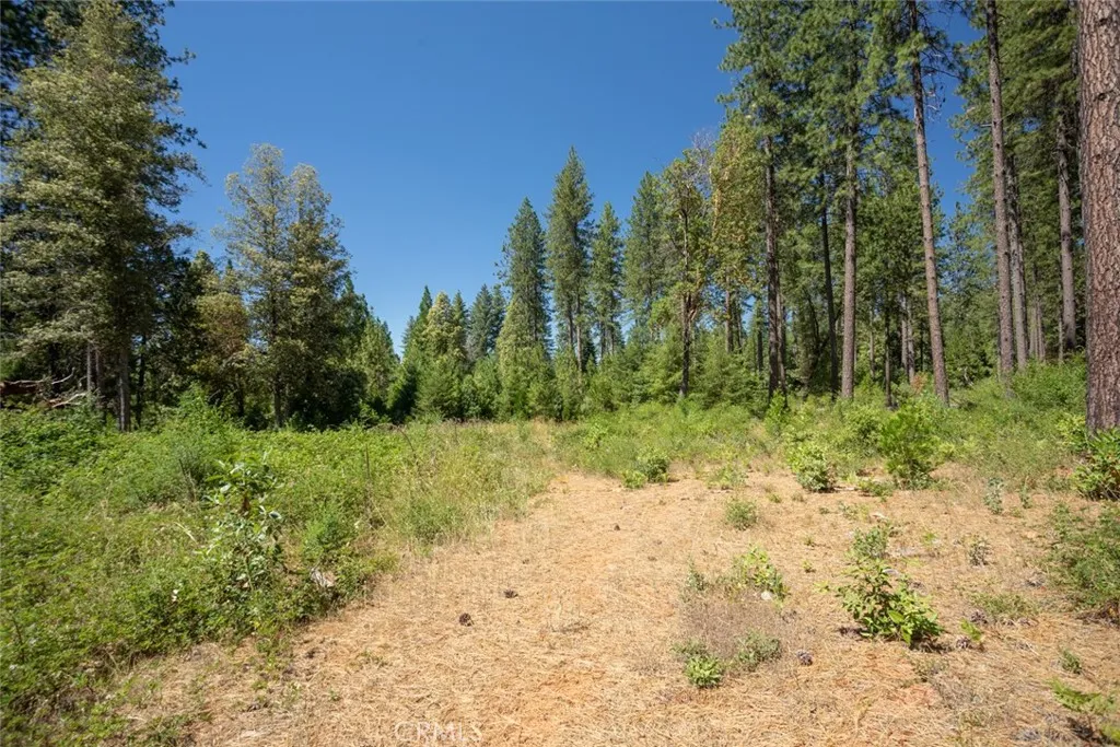 Additional image 29 of forbestown rd, Forbestown, CA 95941