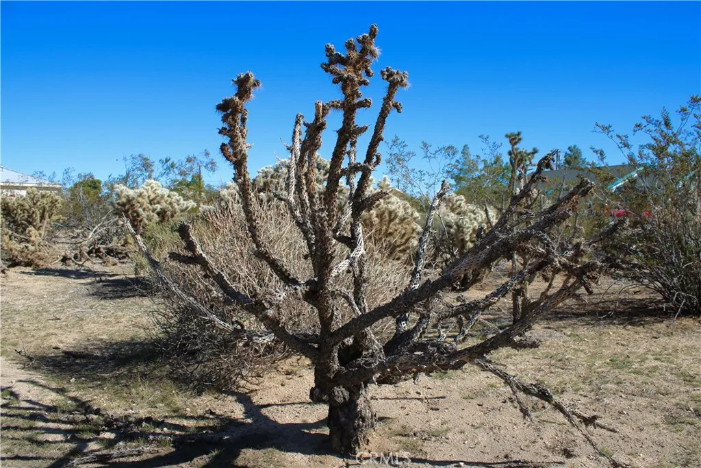 Additional image 51 of 61876 Mountain View Circle, Joshua Tree, CA 92252