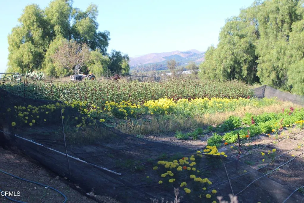 Additional image 42 of 1672 E Los Angeles Avenue, Somis, CA 93066