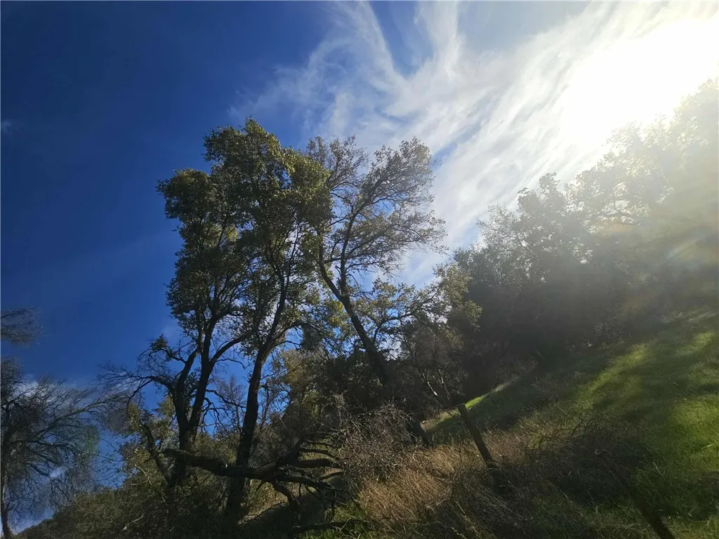 Additional image 24 of 58111 Lark Ln, North Fork, CA 93643