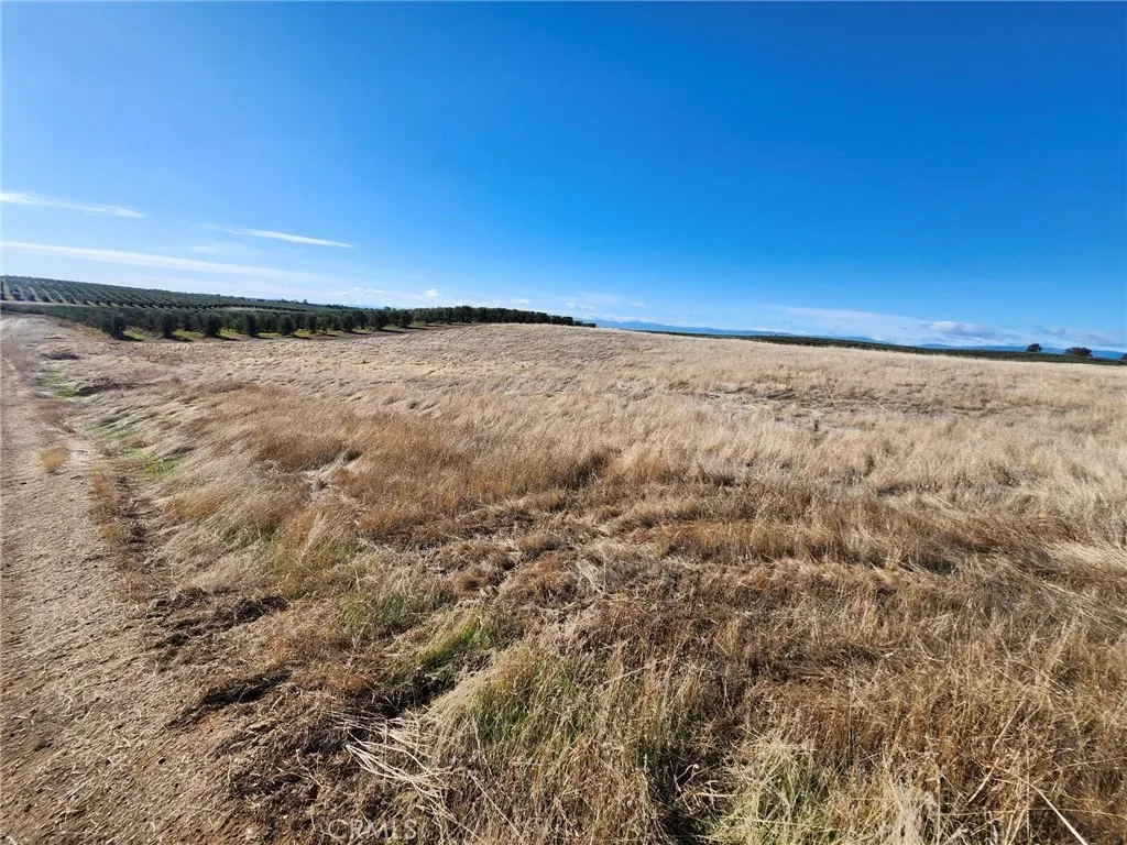 Additional image 10 of 087-250-008-000, Corning, CA 96021