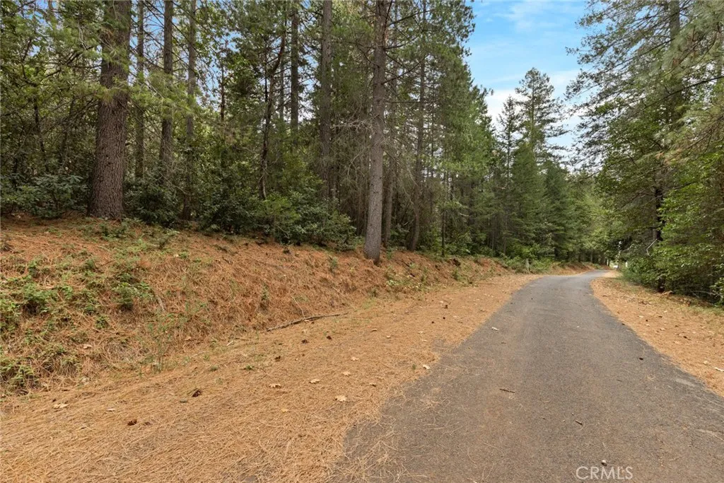 Additional image 4 of 1 Old Forbestown Road, Forbestown, CA 95941