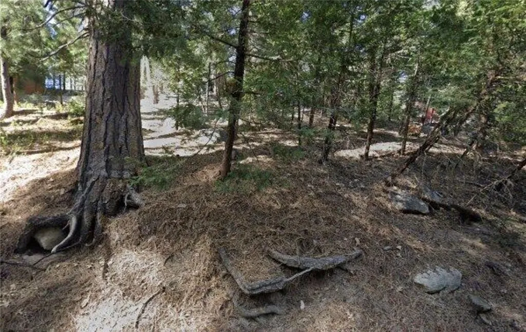 Property image for 25547 Mid Ln, Twin Peaks, CA 92391