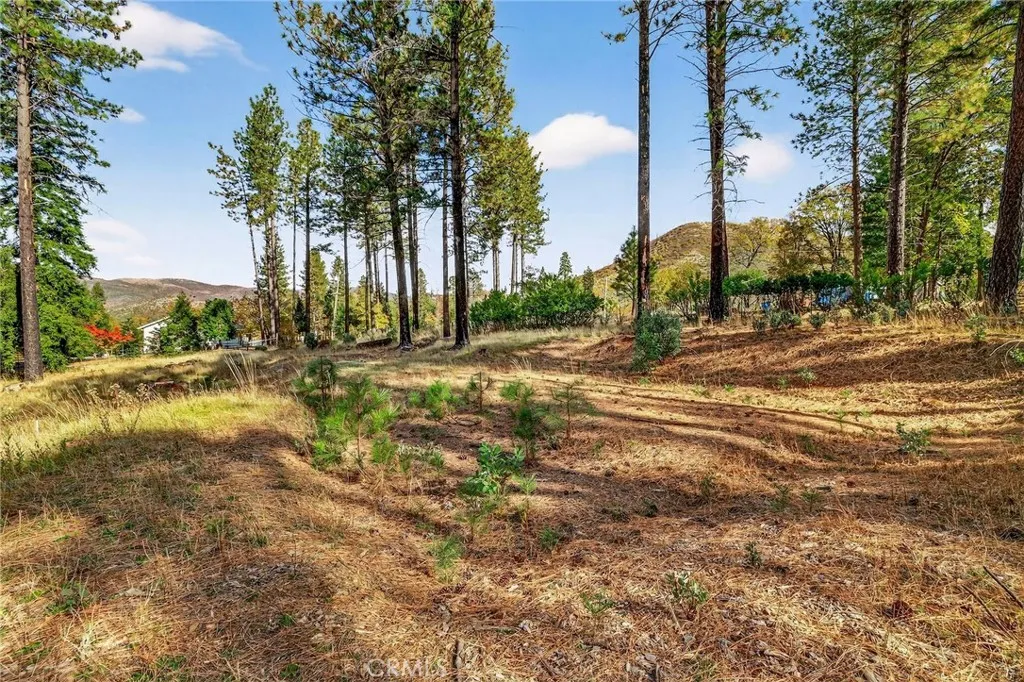 Additional image 58 of 4120 Jack Dale Way, Oroville, CA 95965