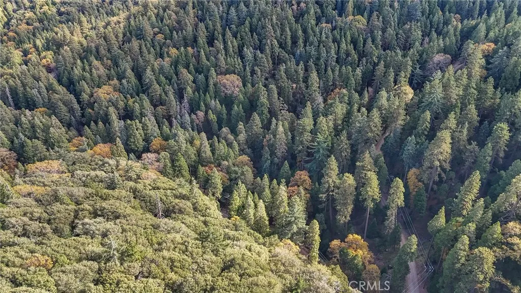 Additional image 3 of Deer Run Road, Cedarpines Park, CA 92322