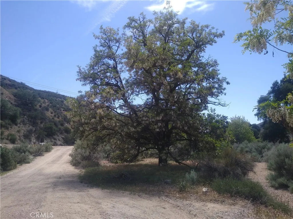 Additional image 16 of Sierra Hwy, Agua Dulce, CA 91350