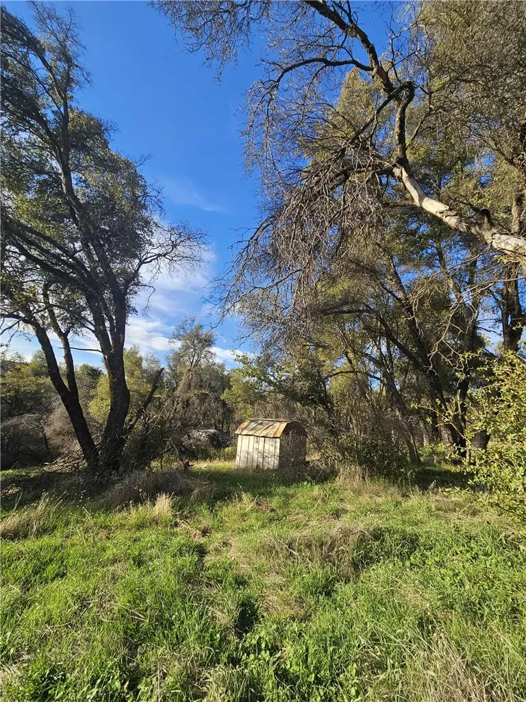 Additional image 34 of 58111 Lark Ln, North Fork, CA 93643