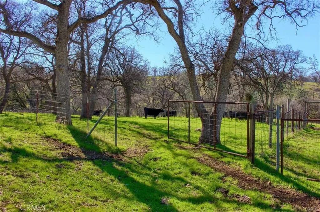 Additional image 4 of 160 AC Cotton Creek Rd, Mariposa, CA 95338