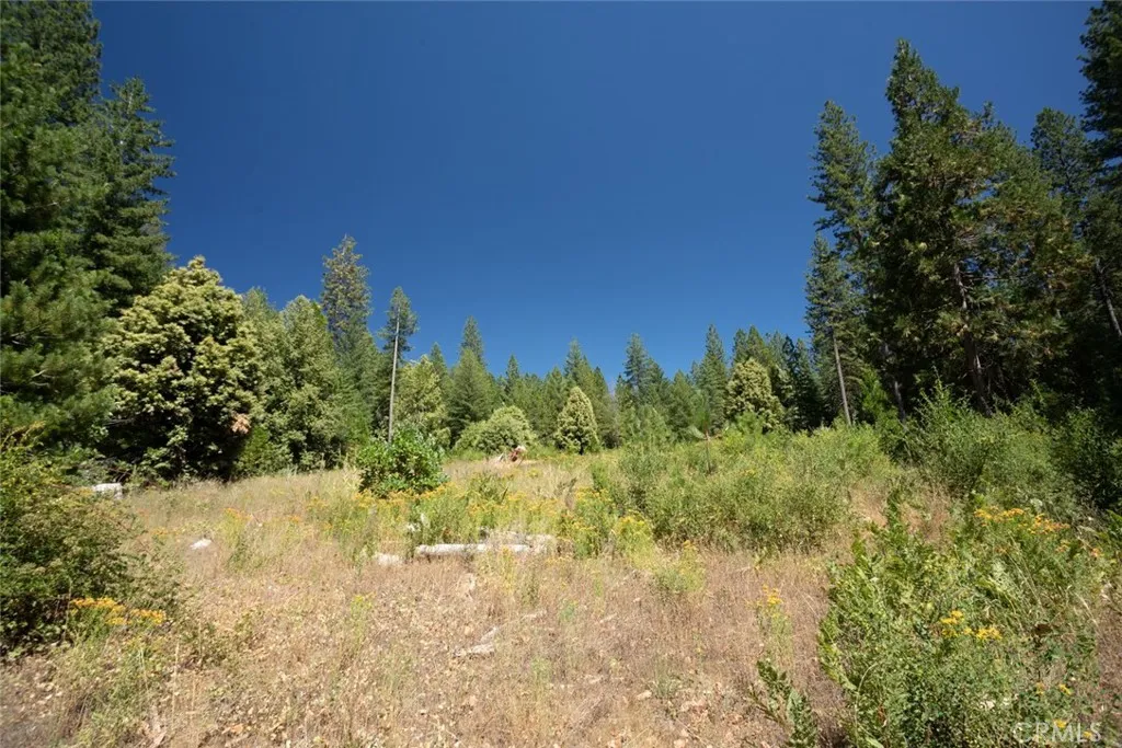 Additional image 72 of forbestown rd, Forbestown, CA 95941