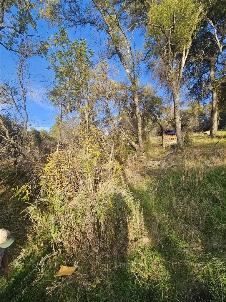 Additional image 50 of 58111 Lark Ln, North Fork, CA 93643