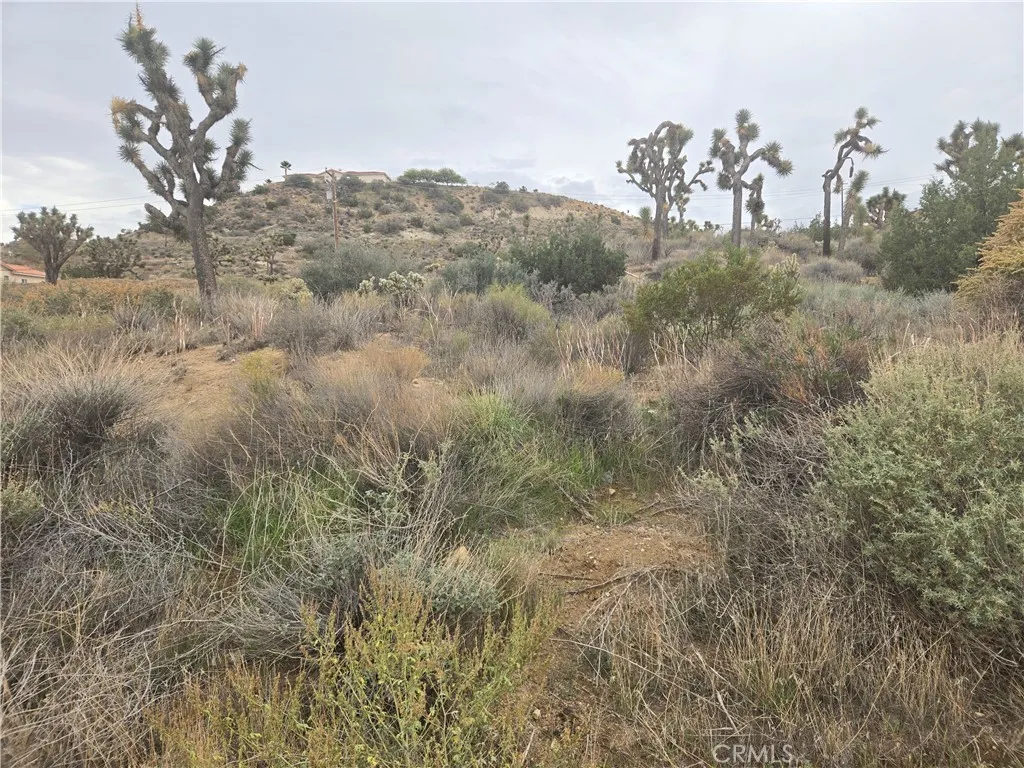 Additional image 4 of 54777 Twentynine Palms Highway, Yucca Valley, CA 92284