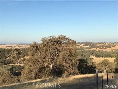 Additional image 7 of Avacado, Bangor, CA 95914