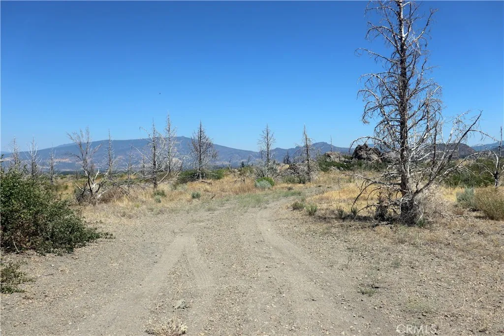 Additional image 22 of Juniper Valley Drive, Weed, CA 96094