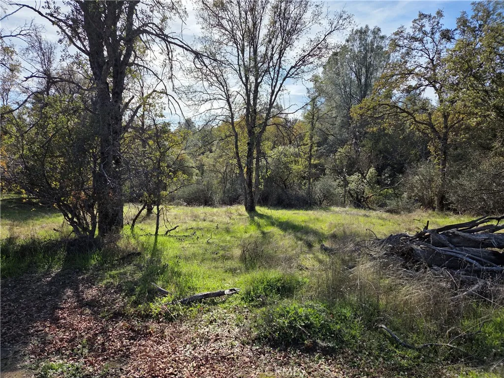 Additional image 3 of 12.19 AC Road 222, North Fork, CA 93643