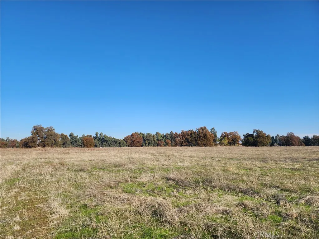 Additional image 8 of Capay Road, Corning, CA 96021