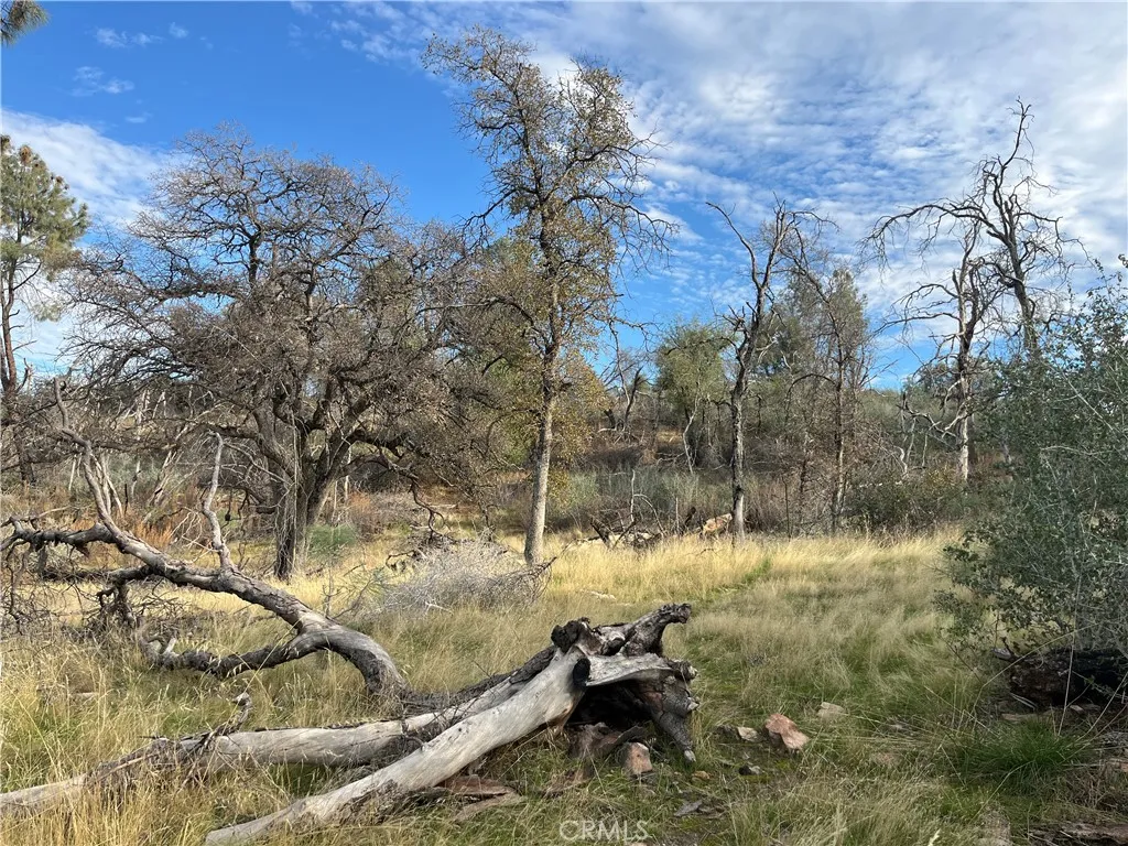 Additional image 137 of 4934 Guadalupe Fire, Catheys Valley, CA 95306