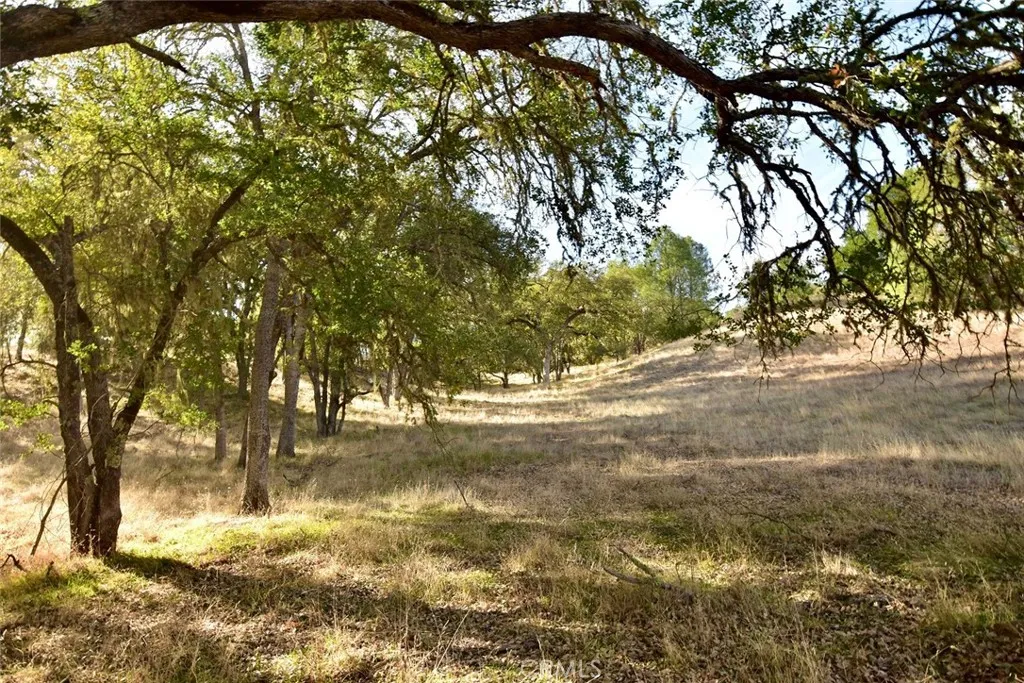 Additional image 20 of 47811 Sapaque Valley Rd, Bradley, CA 93426