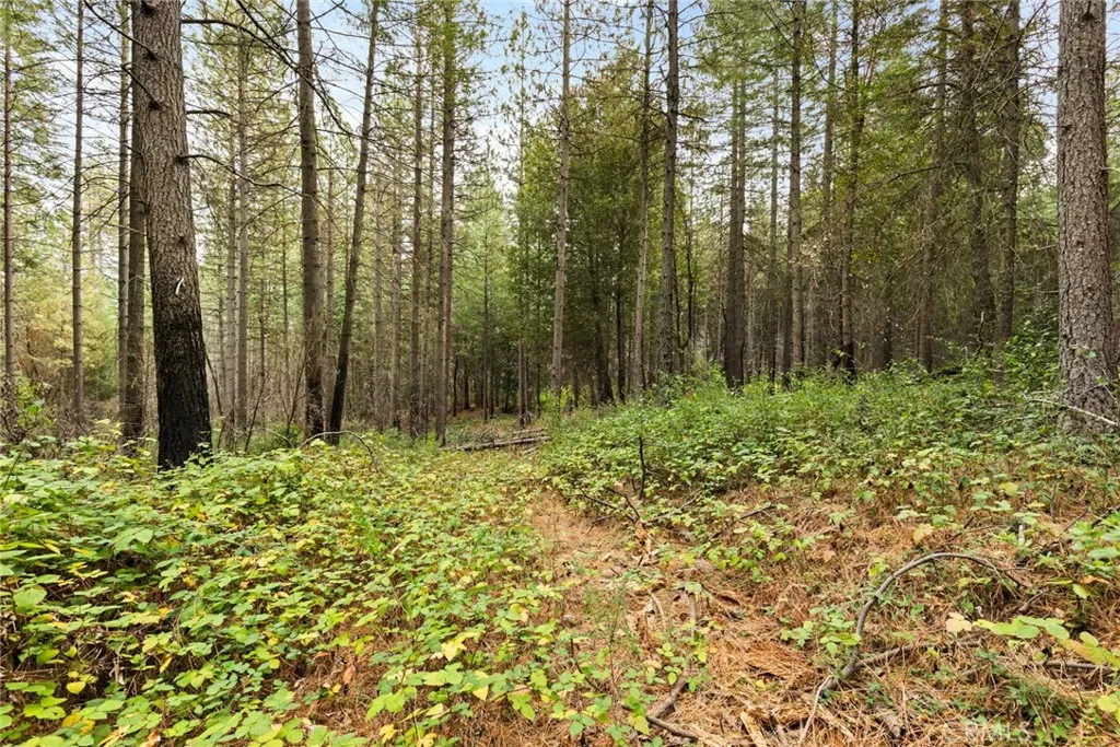 Additional image 28 of Old Forbestown Road, Forbestown, CA 95941