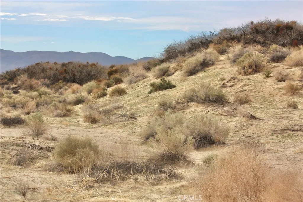 Additional image 18 of 204 Adobe Road, 29 Palms, CA 92277