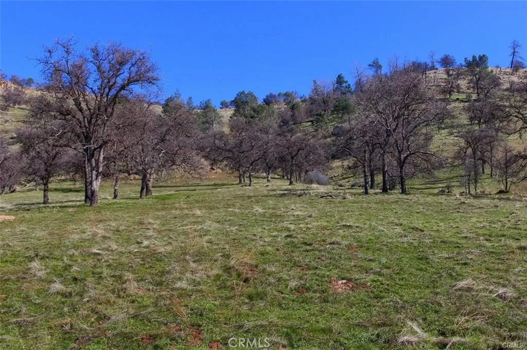 Additional image 43 of 160 AC Cotton Creek Rd, Mariposa, CA 95338
