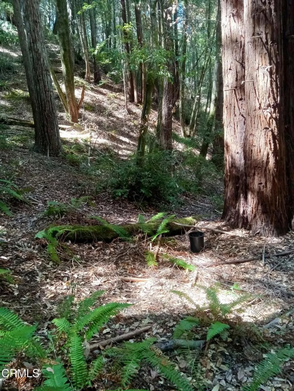 Additional image 12 of 19800 Appaloosa Way, Philo, CA 95463