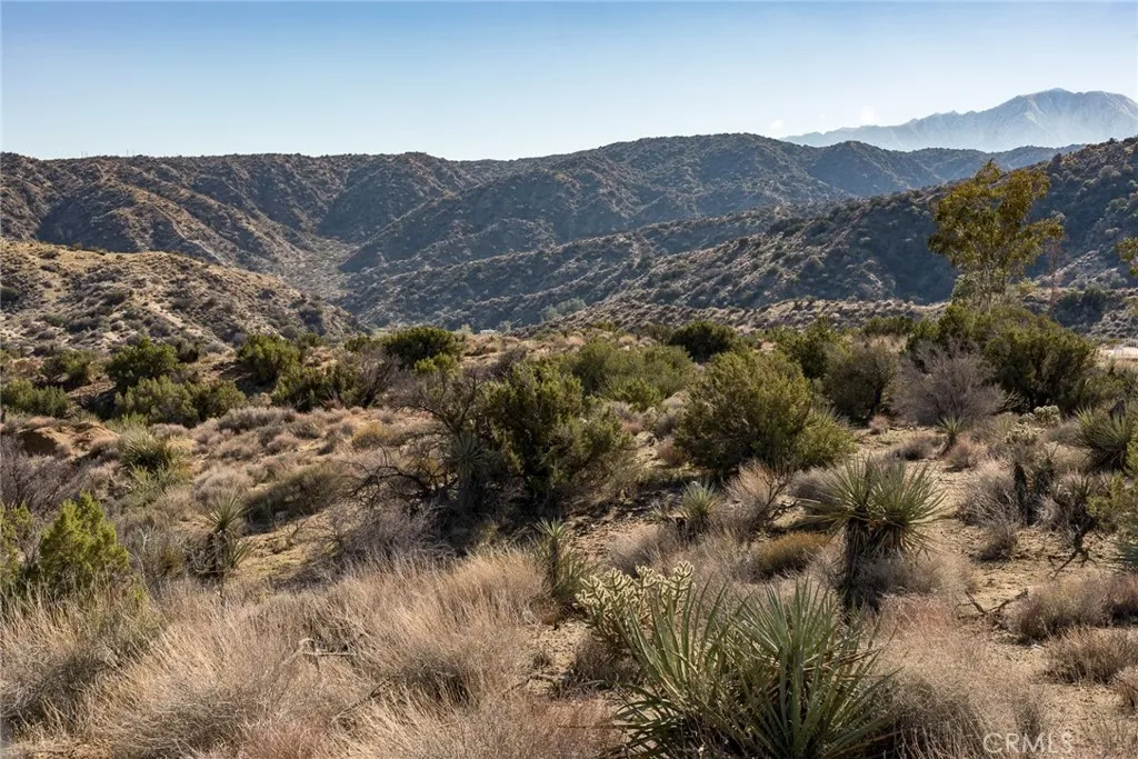 Additional image 6 of Magnolia Drive, Morongo Valley, CA 92256