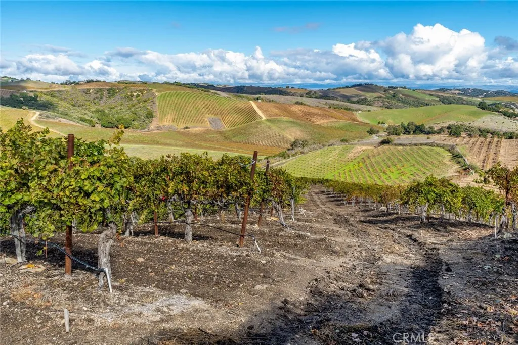 Additional image 29 of Peachy Canyon, Paso Robles, CA 93446