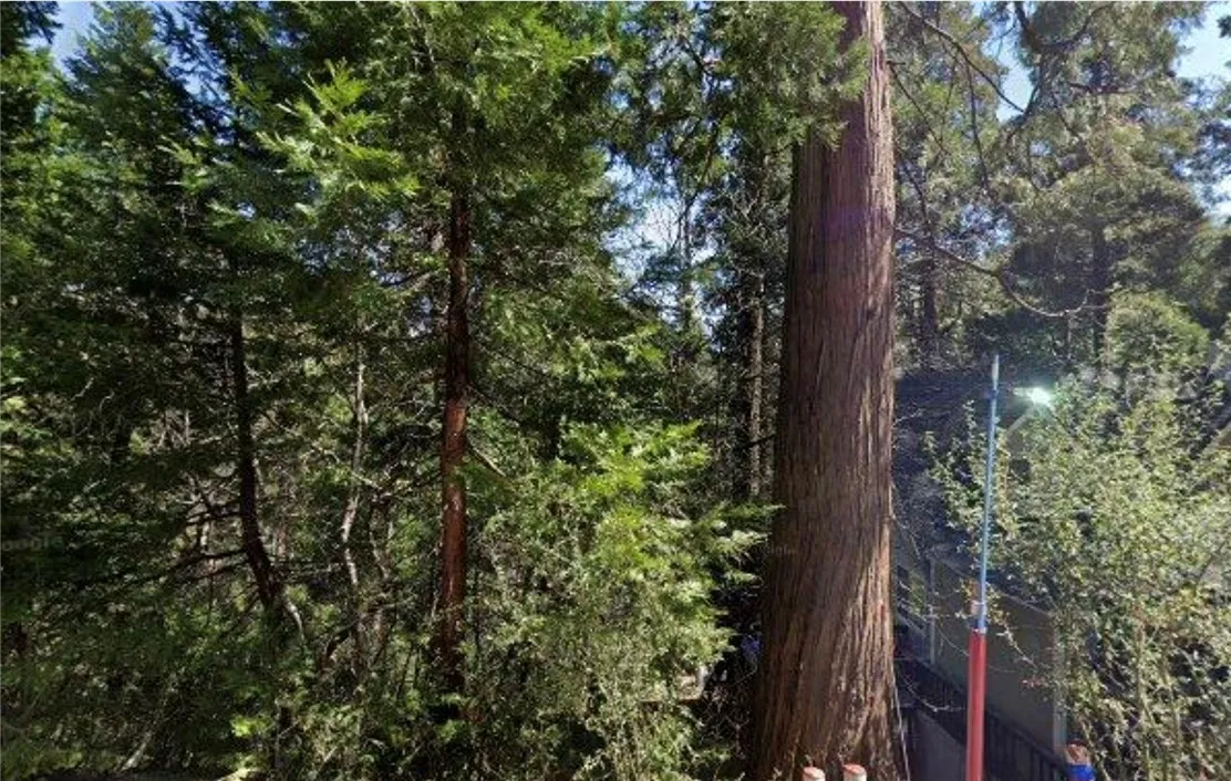 Additional image 4 of 26212 Lake Forest Dr, Twin Peaks, CA 92391