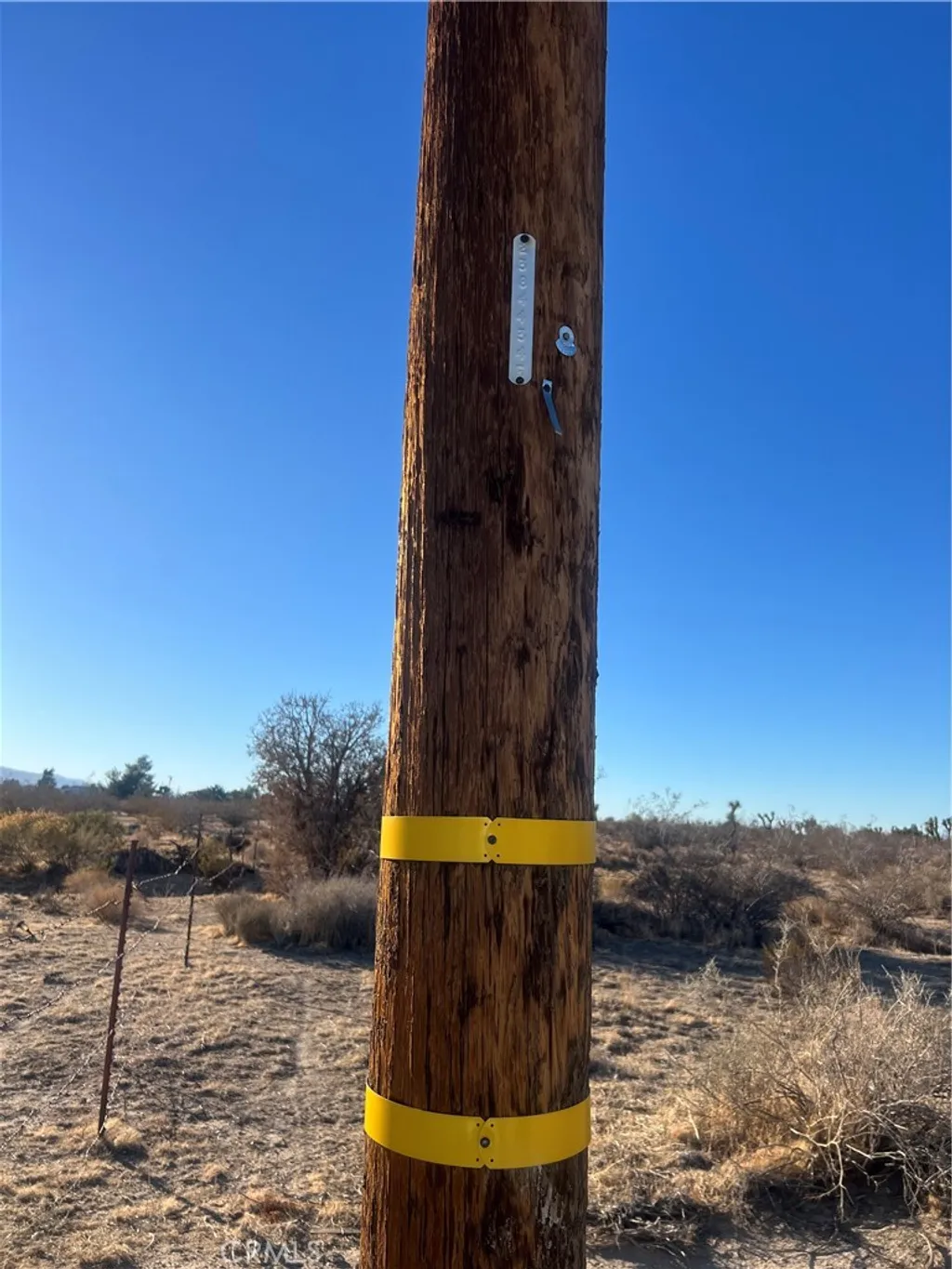 Primary image of Schlitz, Phelan, CA 92371