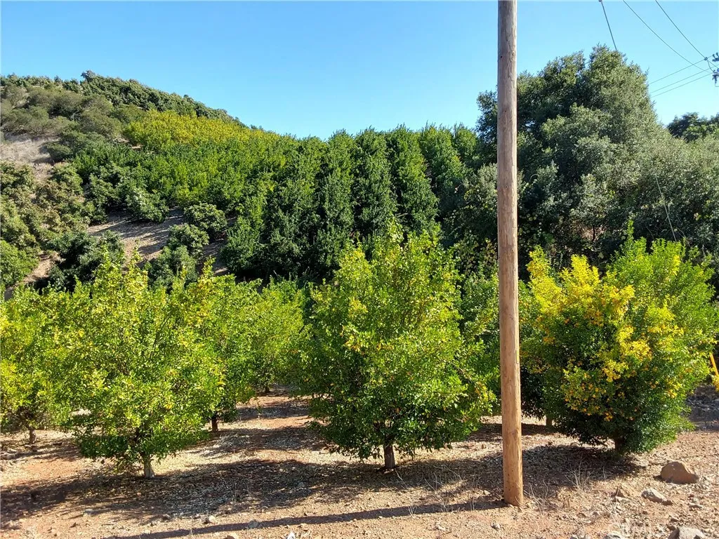 Additional image 74 of 3 Via Vaquero, Temecula, CA 92590