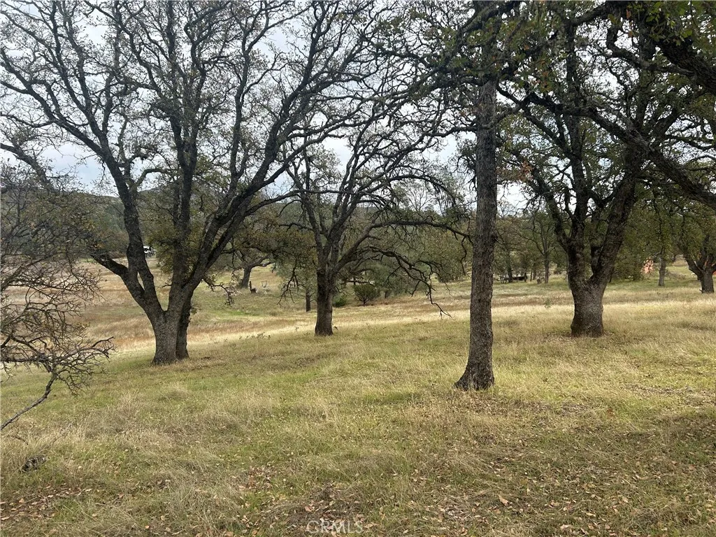 Additional image 43 of 22753 Jerusalem Grade, Lower Lake, CA 95457