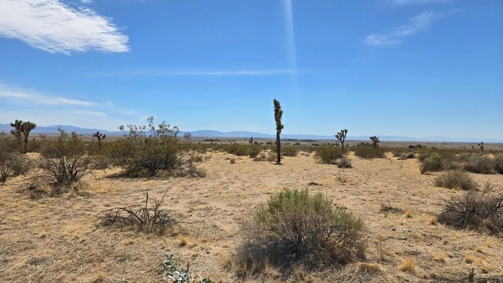 Additional image 23 of 147th St E vicinity Capleton Dr (Ave G4), Lancaster, CA 93535