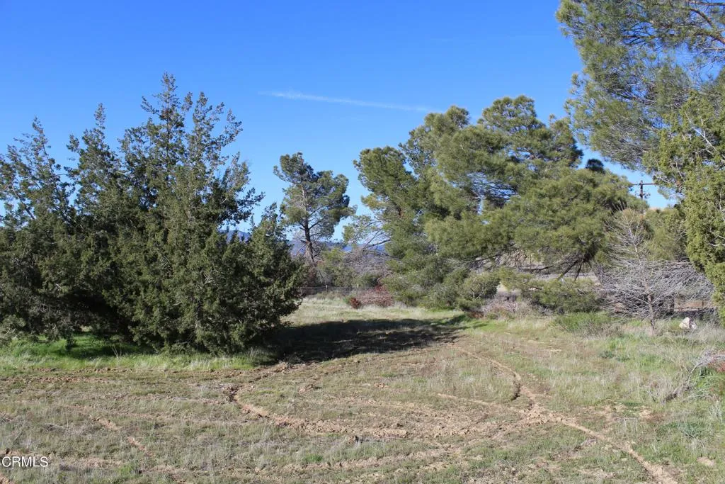 Additional image 53 of 4190 Quatal Canyon Road, Maricopa, CA 93252