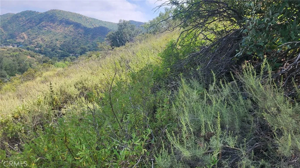 Additional image 8 of Ladd Canyon, Silverado, CA 92676