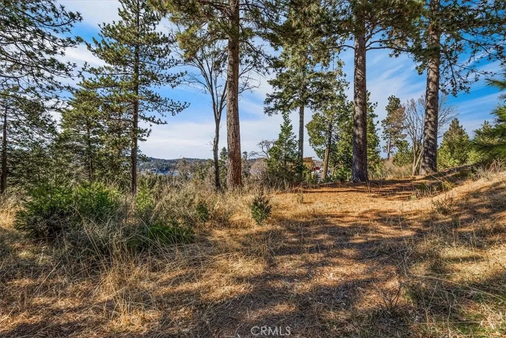 Additional image 36 of 109 Mill Pond Rd, Lake Arrowhead, CA 92352