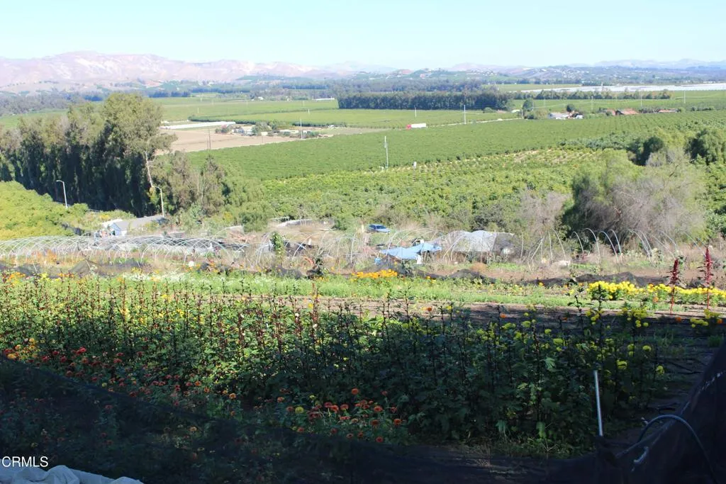 Additional image 14 of 1672 E Los Angeles Avenue, Somis, CA 93066